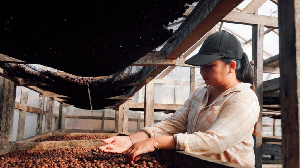 Ni Wayan Suryani hand sorting coffee cherry